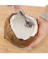 Dụng cụ đánh vảy cá - nạo dừa